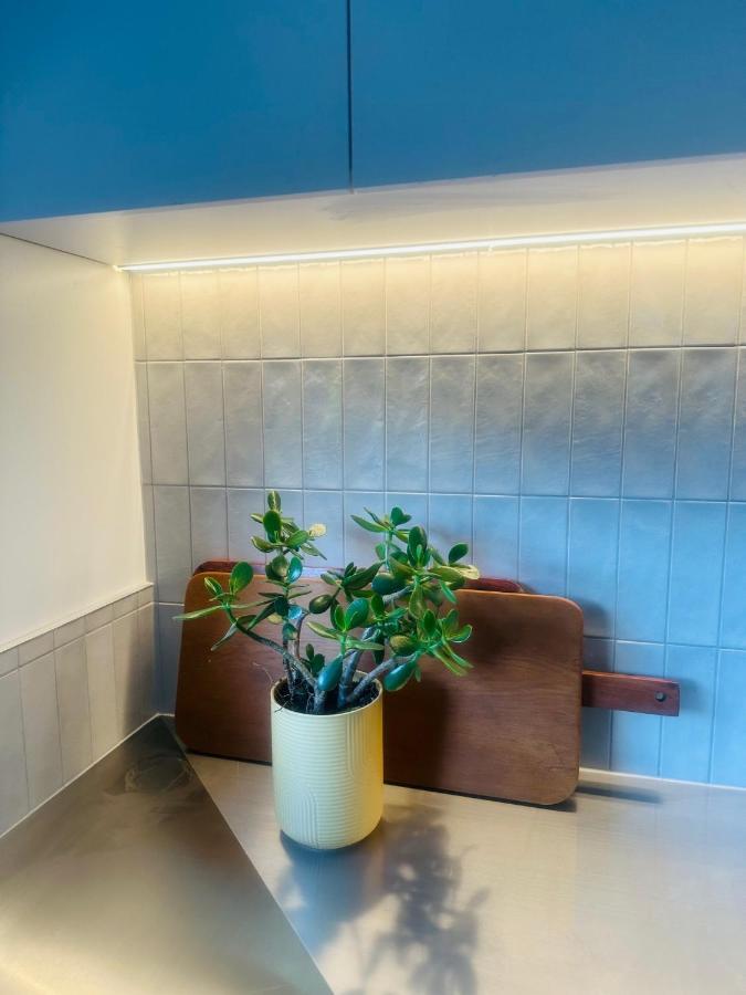 2 Bed Beckenham Beauty - Pet Friendly Villa Christchurch Exteriör bild